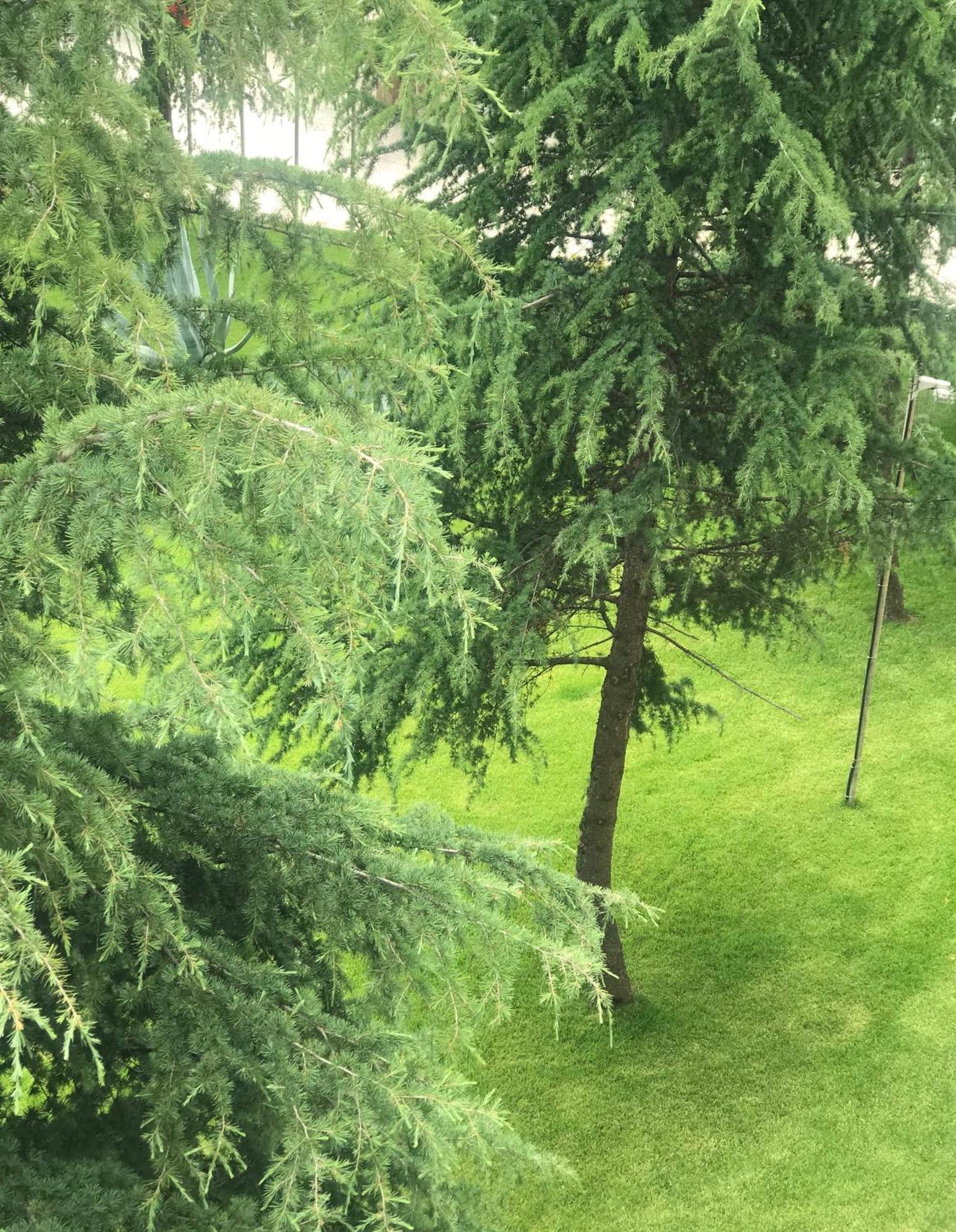 Chateau Linza Resort Тирана Екстер'єр фото