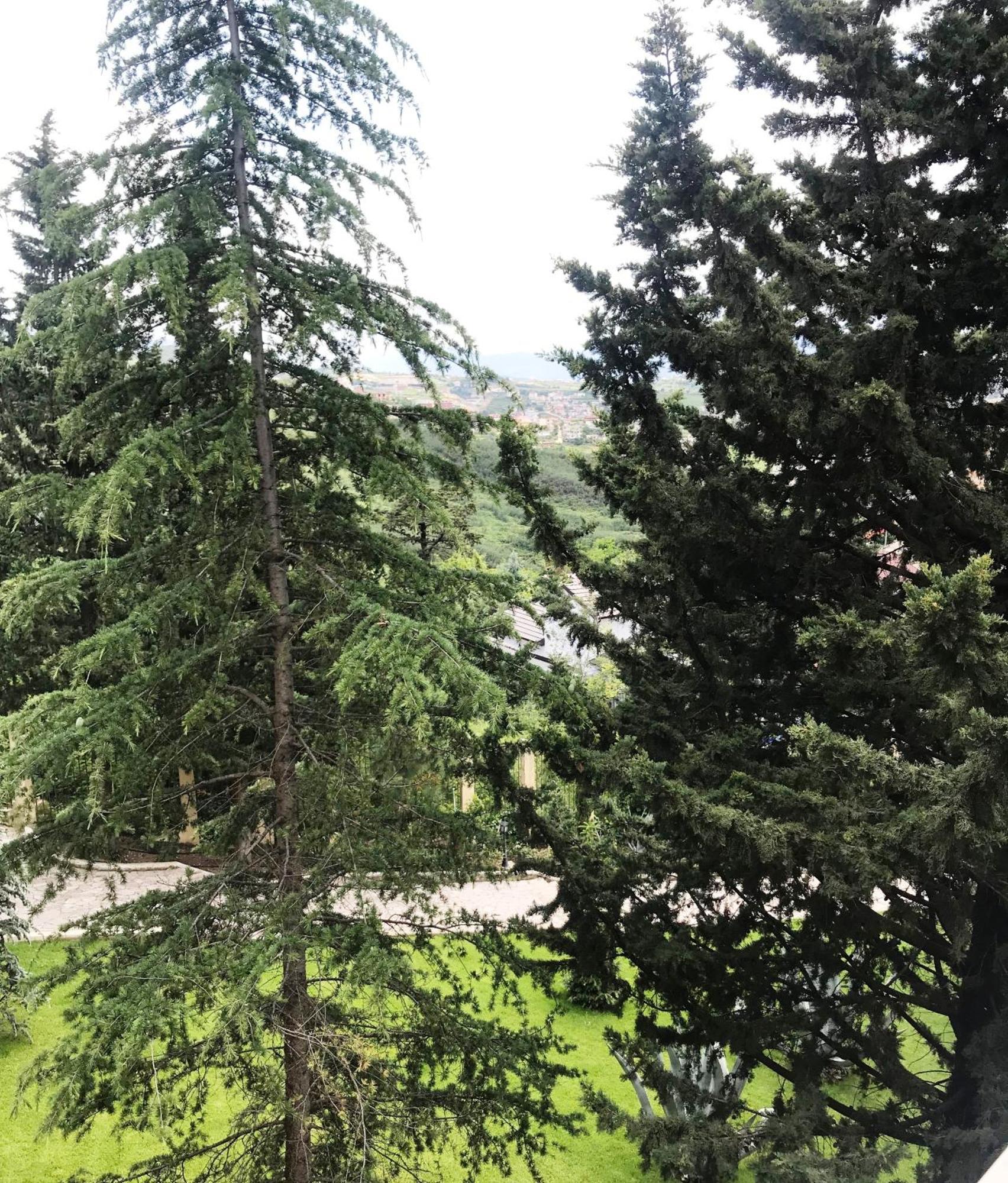 Chateau Linza Resort Тирана Екстер'єр фото